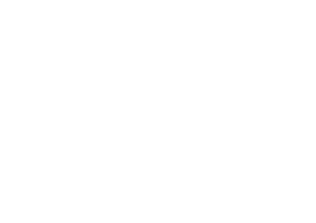 The Pitt